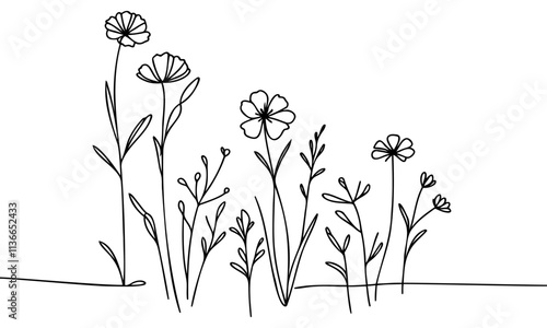 Wildflower line art set. Flower doodle botanical collection. Herbal and meadow plants, grass. Vector illustration isolated on white background. Chamomile, clover, daisy simple hand drawn elements.
