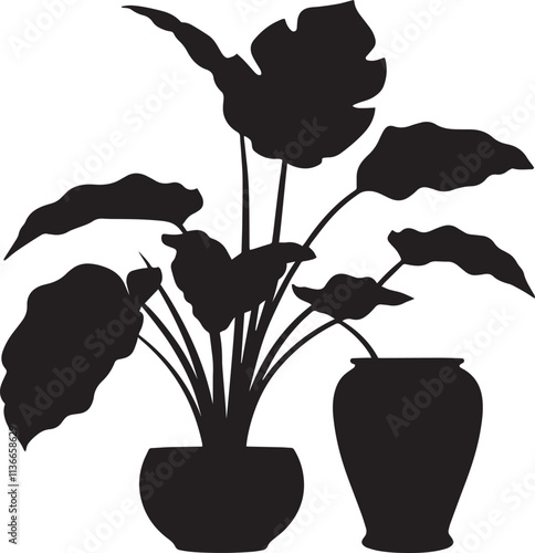 Silhouette of a taro plant with pot black vector art illustration.