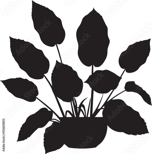 Silhouette of a taro plant with pot black vector art illustration.