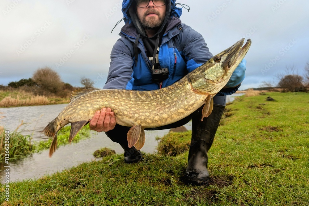 Man holding big fish pike by the river Cregg, Galway, Ireland, sport fishing, angling, catch and release, animals and nature background