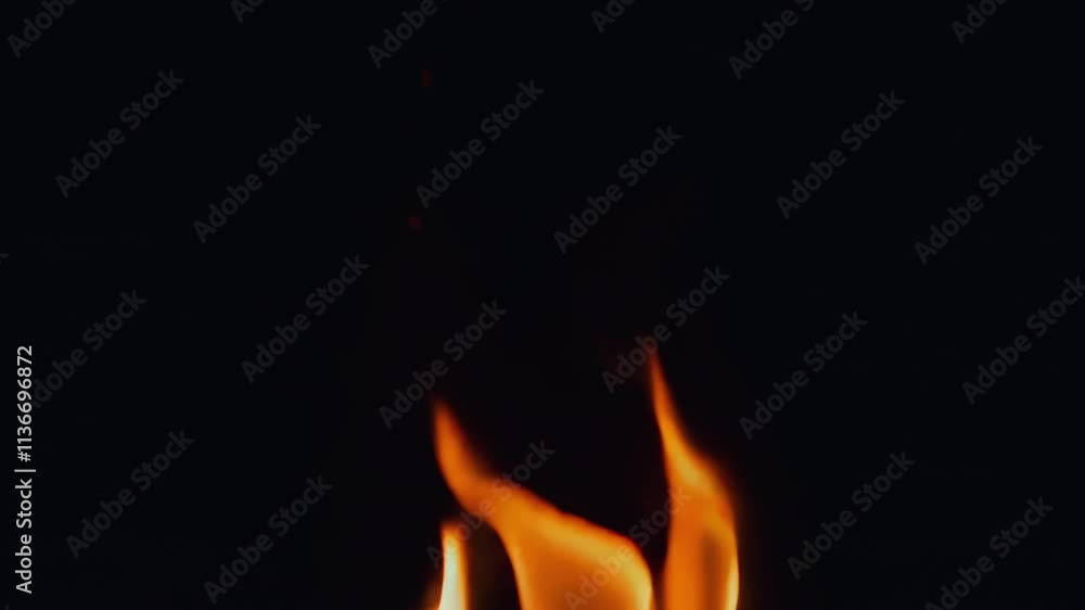A captivating image of vibrant flames against a black backdrop, ideal for various creative projects. A captivating image of vibrant flames against a black backdrop, ideal for various creative projects.