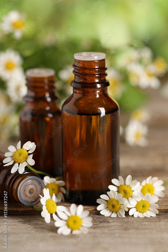 Bottles of essential oil and chamomile flowers on wooden table, closeup Bottles of essential oil and chamomile flowers on wooden table, closeup