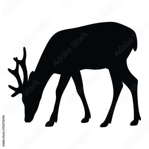 Silhouette of a Deer Grazing