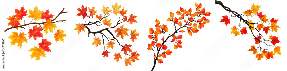 A Set of Maple Tree Branch with Bright Orange and Yellow Autumn Leaves Isolated on Transparent Background A Set of Maple Tree Branch with Bright Orange and Yellow Autumn Leaves Isolated on Transparent Background