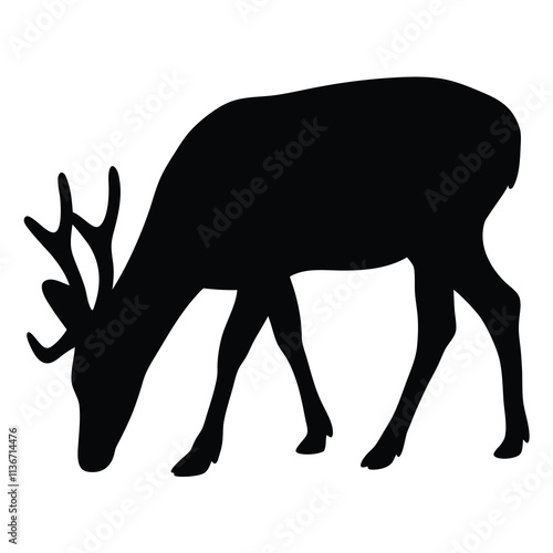 Silhouette of a Deer Grazing