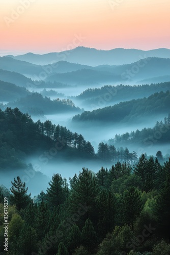 Sunset over rolling hills with wildflowers blooming in the foreground during springtime