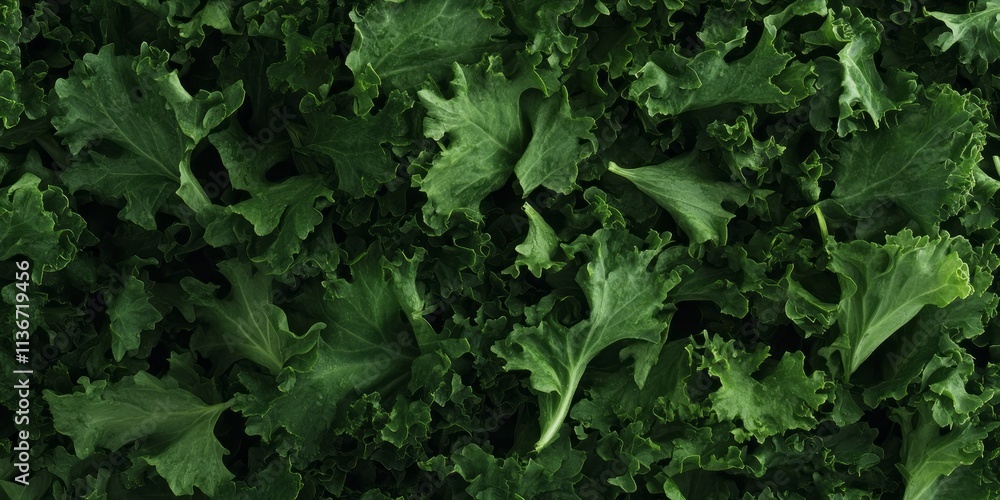 Texture of fresh leafy greens showcasing vibrant greens ideal for salads and healthy dishes Texture of fresh leafy greens showcasing vibrant greens ideal for salads and healthy dishes