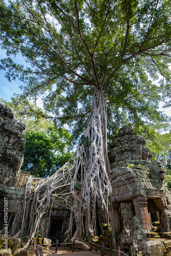 Ta Prohm