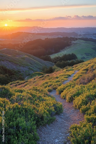 Sunset over rolling hills with a winding path through lush greenery in late afternoon