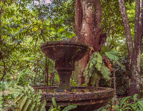 Ancient fountain in the Amazon