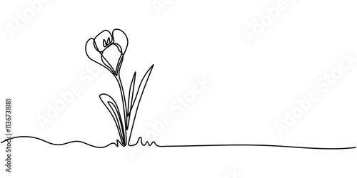 Spring crocus flower in continuous line art drawing style. Minimalist black linear sketch isolated on white background. Vector illustration, Spring crocus flower in continuous line art drawing style.