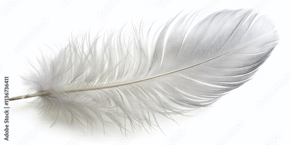 White Feather Close Up, Fluffy Feather Texture, Pure White Feather, Aerial Photography, Macro Photography White Feather Close Up, Fluffy Feather Texture, Pure White Feather, Aerial Photography, Macro Photography