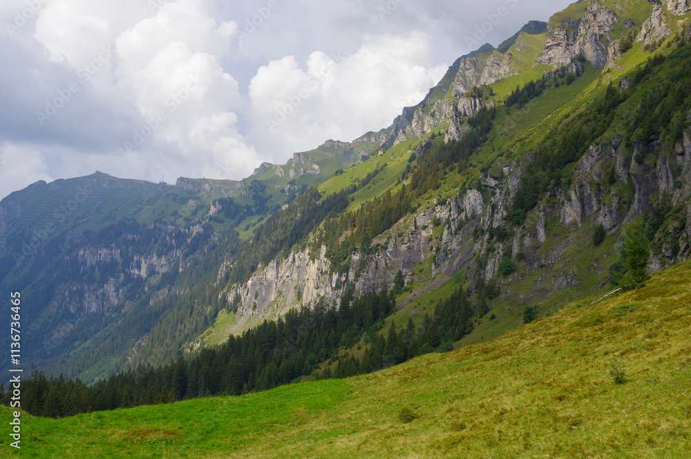 Naklejka premium Beautiful Alpine landscape in Switzerland