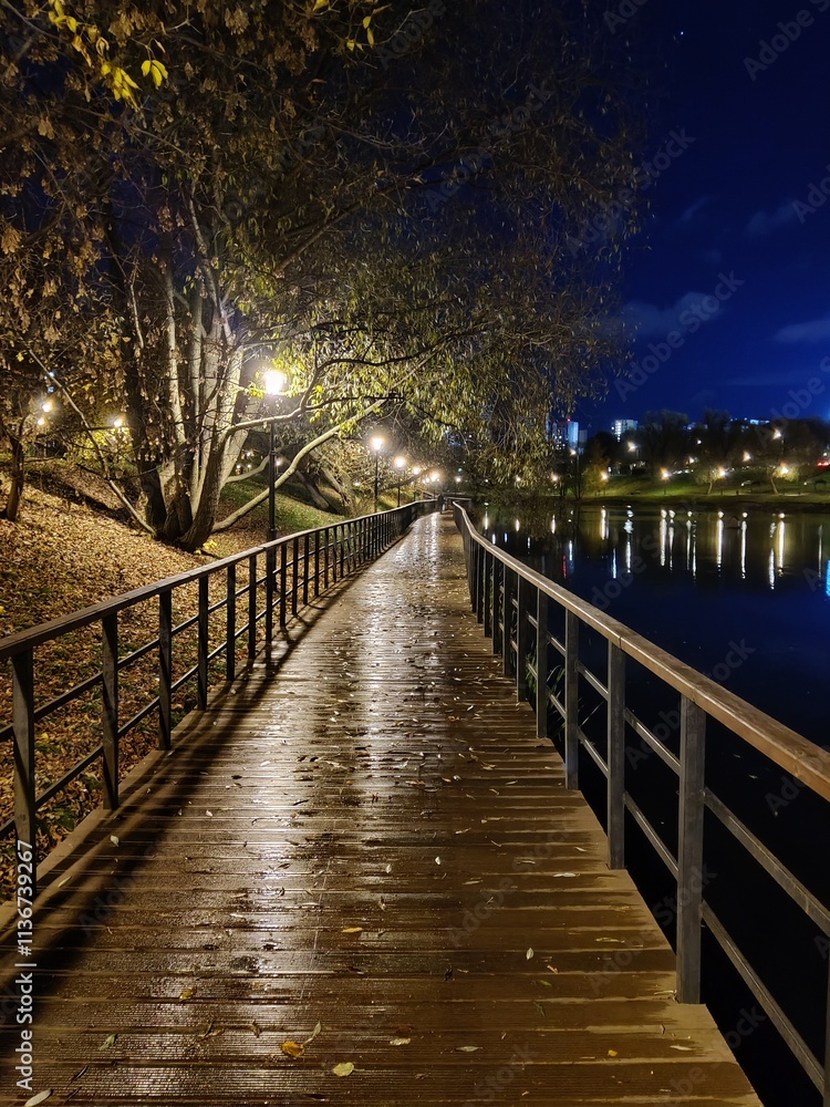Footpath near the lake at night Footpath near the lake at night