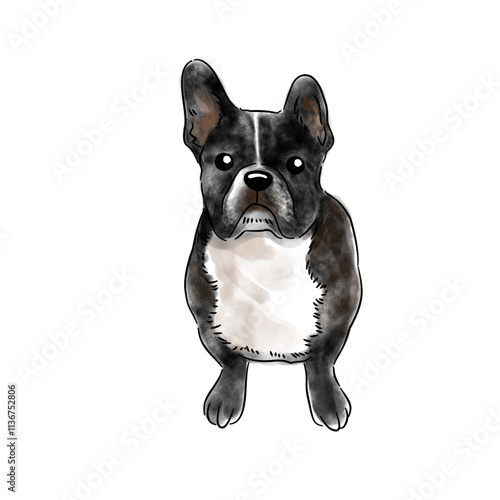 Cute pet watercolor style illustration - english bulldog puppy