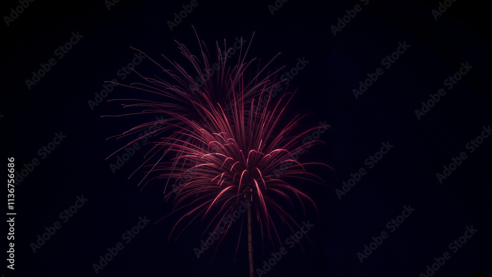 Raspberry fireworks on a black background creating a stunning display Raspberry fireworks on a black background creating a stunning display