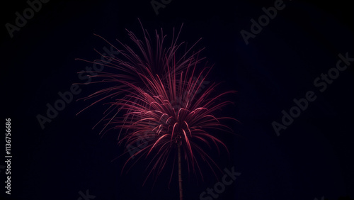 Wallpaper Mural Raspberry fireworks on a black background creating a stunning display Torontodigital.ca