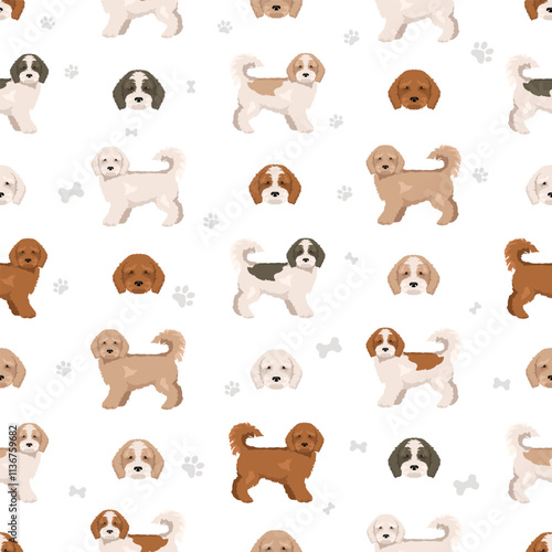 Cockachon clipart. Cocker Spaniel Bichon Frise mix. Different coat colors set.  Vector illustration