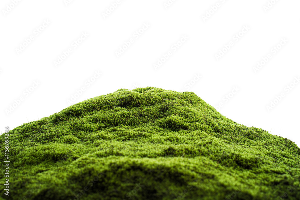 Green moss growing on a hill, isolated on a transparent background, perfect for nature, environmental, or landscape-themed designs. Green moss growing on a hill, isolated on a transparent background, perfect for nature, environmental, or landscape-themed designs.