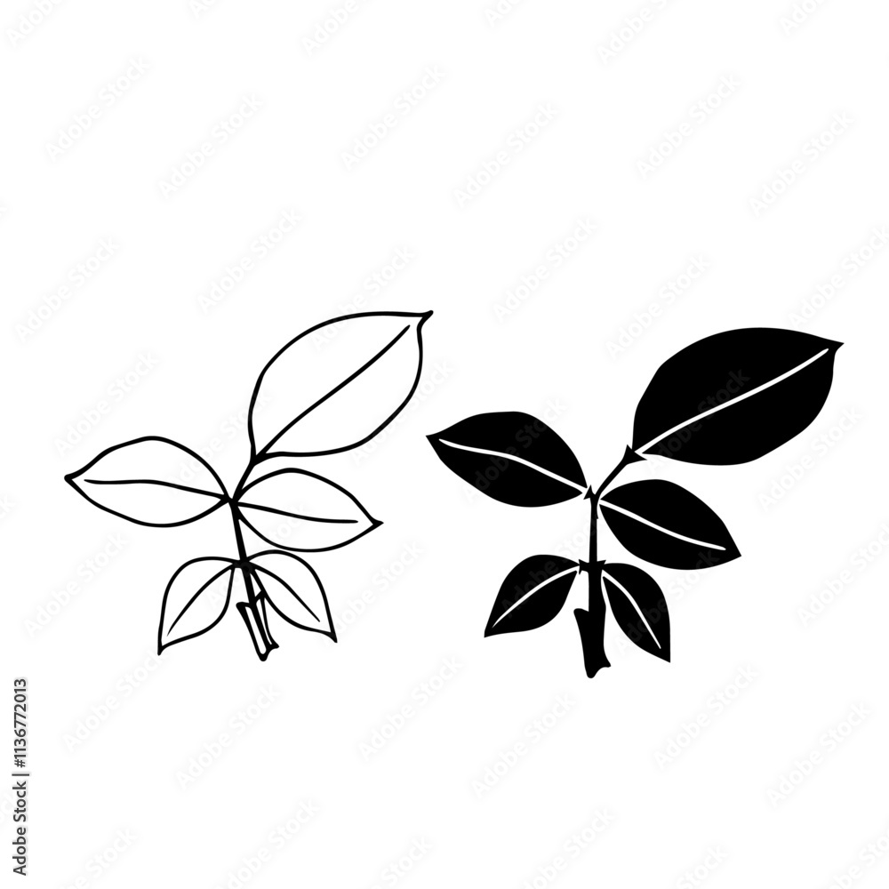 Linear sketch, stamp, silhouette of leaves. Simple botanical elements. Vector graphics. Linear sketch, stamp, silhouette of leaves. Simple botanical elements. Vector graphics.