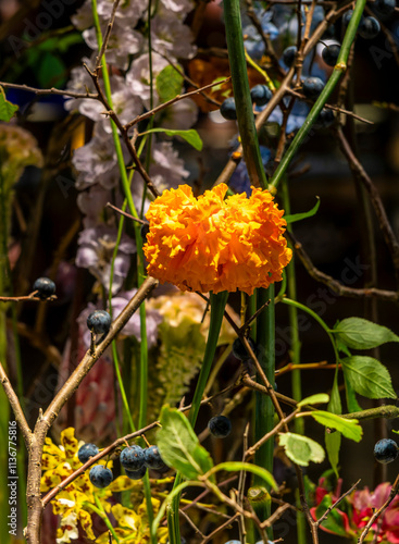 Blumenarragements und Dekorationen,  Floristik, Berlin, Deutschland