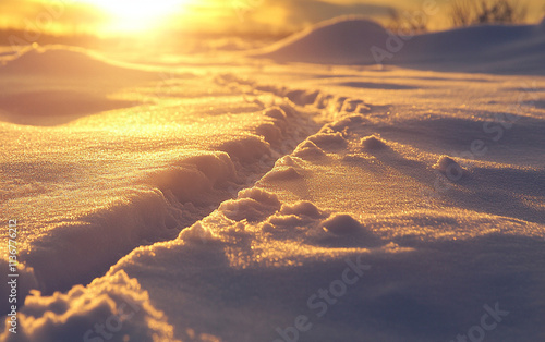 Santa's sleigh tracks in the snow under a starry sky, creating a magical winter scene with a clear area for text or messaging.


 photo