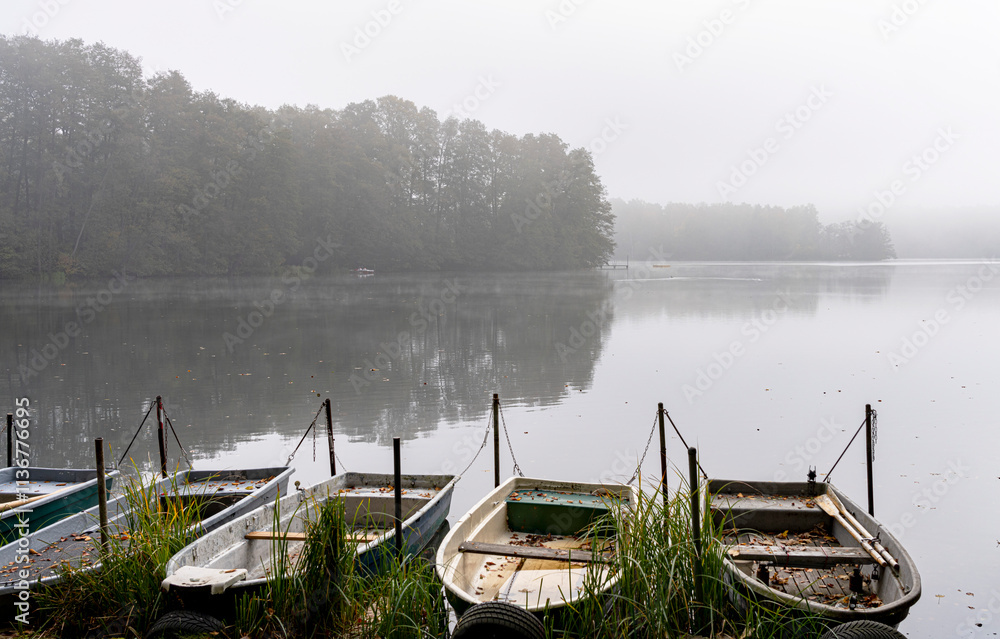 Nebel am Tegeler See, Berlin, Deutschland