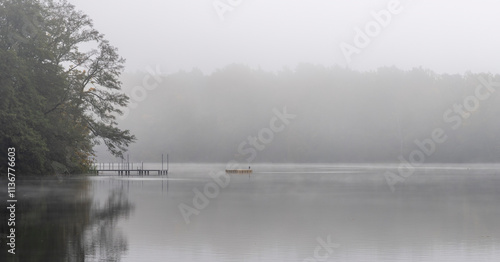 Nebel am Tegeler See, Berlin, Deutschland photo