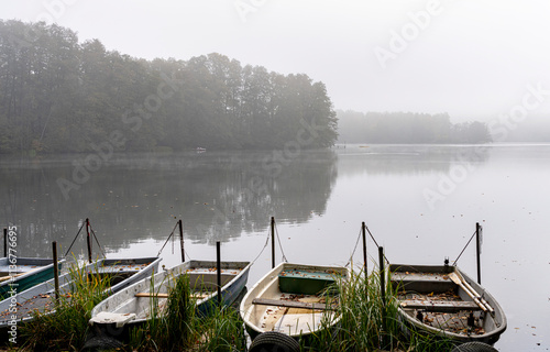 Obraz na płótnie Nebel am Tegeler See, Berlin, Deutschland w salonie