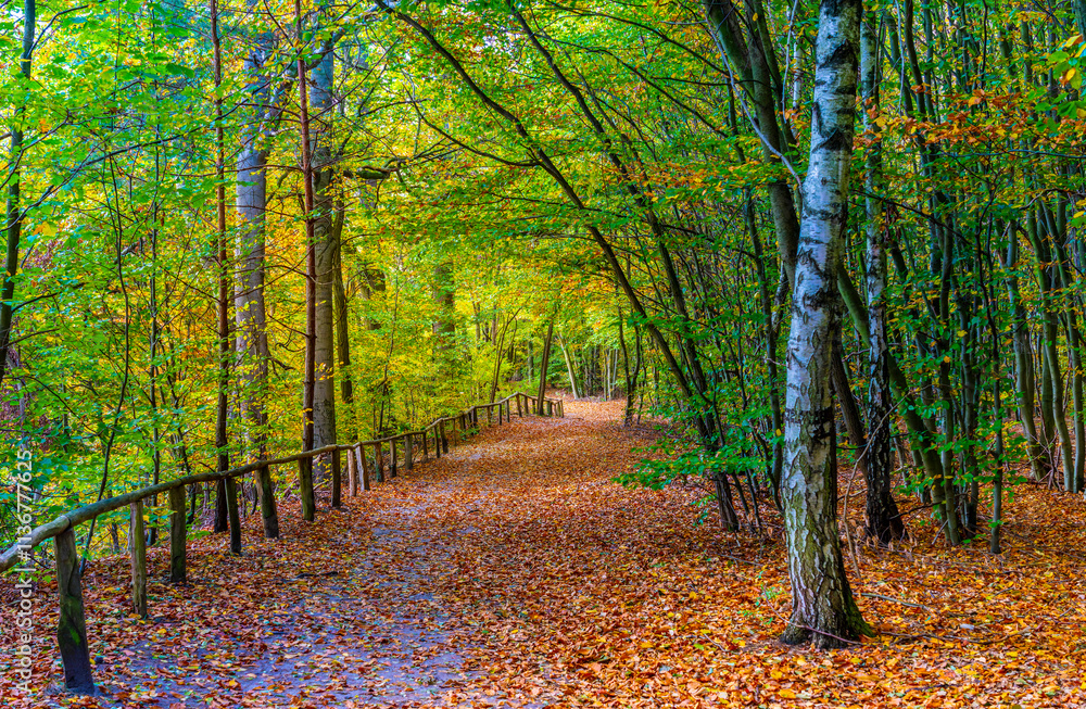 Landschaft und Parks in und um Berlin, Deutschland