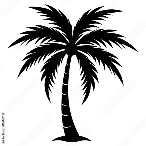 palm tree silhouette