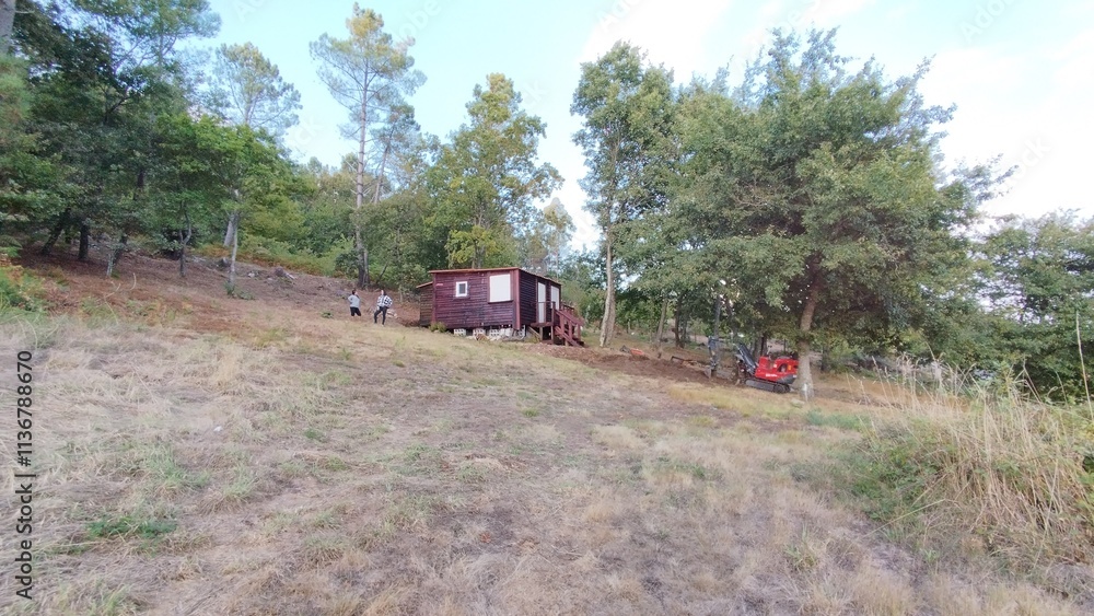 Fototapeta premium Cabaña en el bosque