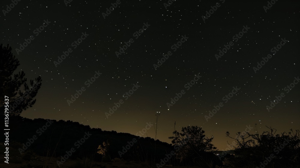 Naklejka premium A Starry Night Sky Over a Silhouetted Landscape