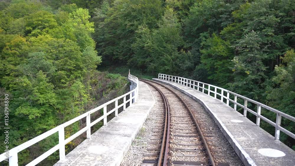 the train track that crosses the mountains. the first mountain railway in Romania. 4k video. the train track that crosses the mountains. the first mountain railway in Romania. 4k video.