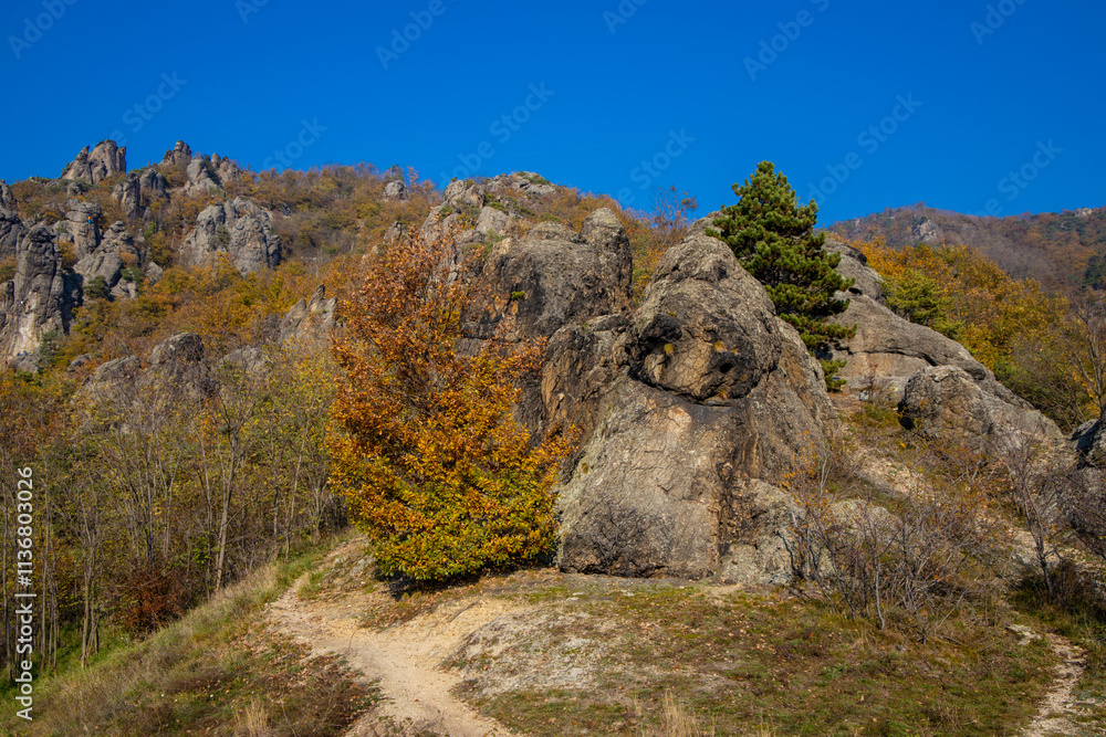Fototapeta premium Autumn colors in the mountain forest. Wachau valley and vine yards in Austria. Rock formations in the yellow leaves autumn colored forest