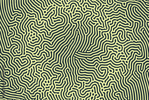 Yellow Black Colours Chaotic Intricate Pattern Vector Bizarre Abstract Background. Psychedelic Acid Trip Weird Graphic Abstraction. Bacteria Colony Conceptual Visualisation. Contrast Art Illustration