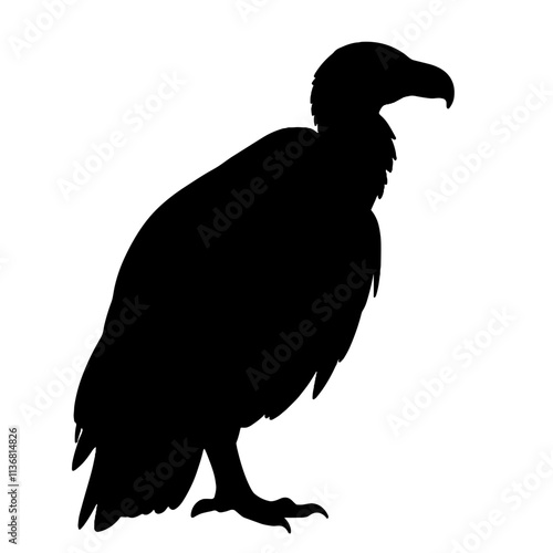 Vulture silhouette in black and white on white background, symbolism of death