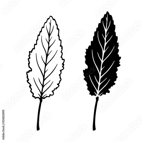 Linear sketch, stamp, silhouette of leaves. Simple botanical elements. Vector graphics.