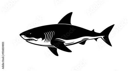 Shark gill slits visible as it passes an underwater camera, Animal Illustration