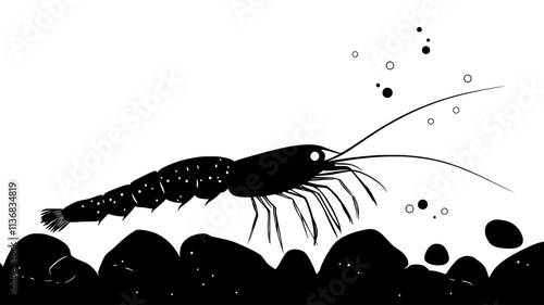 Shrimp exploring rocky underwater environment, moving slowly, Animal Illustration