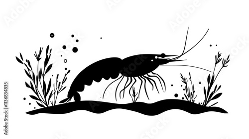 Shrimp moving through seaweed in shallow water, Animal Illustration