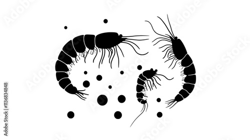 Shrimp larvae floating in plankton under microscope, Animal Illustration