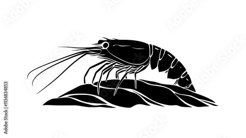 Shrimp on rock, gripping surface with legs, staying still, Animal Illustration
