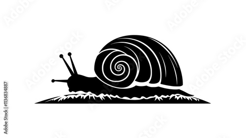 Snail moving across a flat surface, shell visible, body extended, Animal Illustration