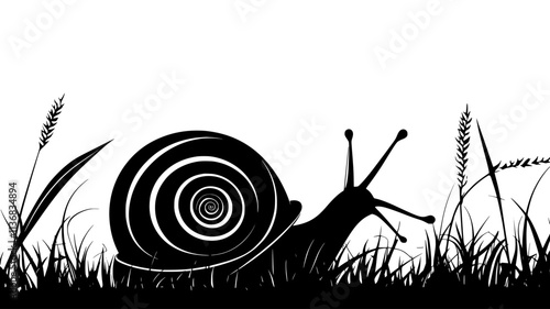 Snail retracting into its shell when touched with a blade of grass, Animal Illustration