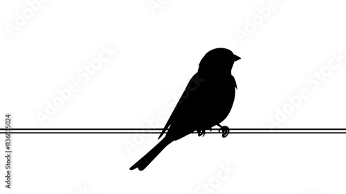 Sparrow sitting on a wire, looking straight ahead, body perfectly balanced, Animal Illustration