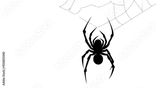 A spider hangs upside down from a silk thread, delicately moving along its web, Animal Illustration