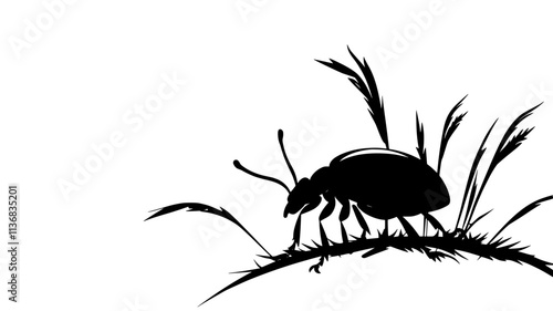 The beetle pauses at the base of a plant before continuing its climb, Animal Illustration