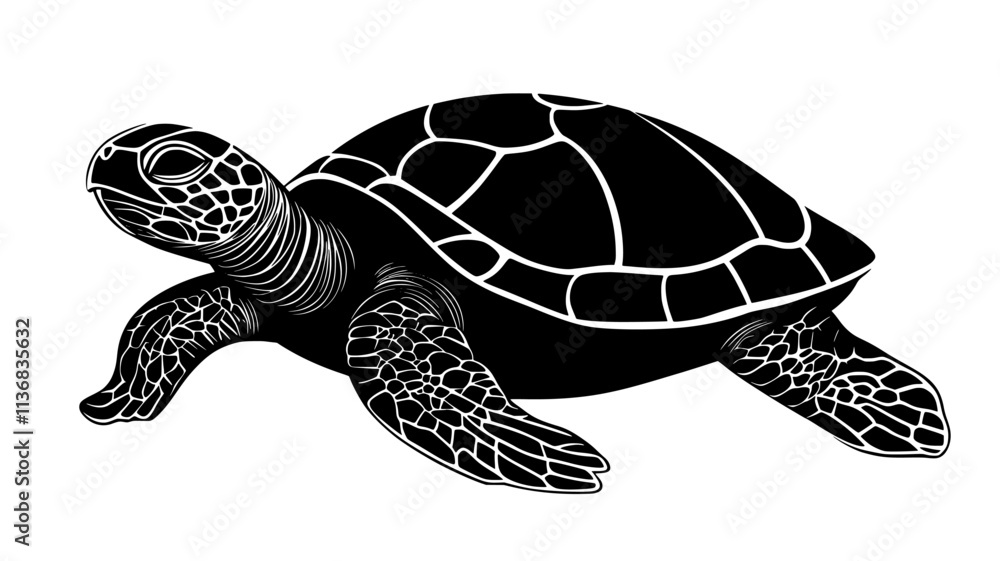 Fototapeta premium Turtle retracting its head into its shell when approached, Animal Illustration