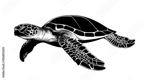 Turtle swimming underwater, moving forward with its flippers extended outward, Animal Illustration